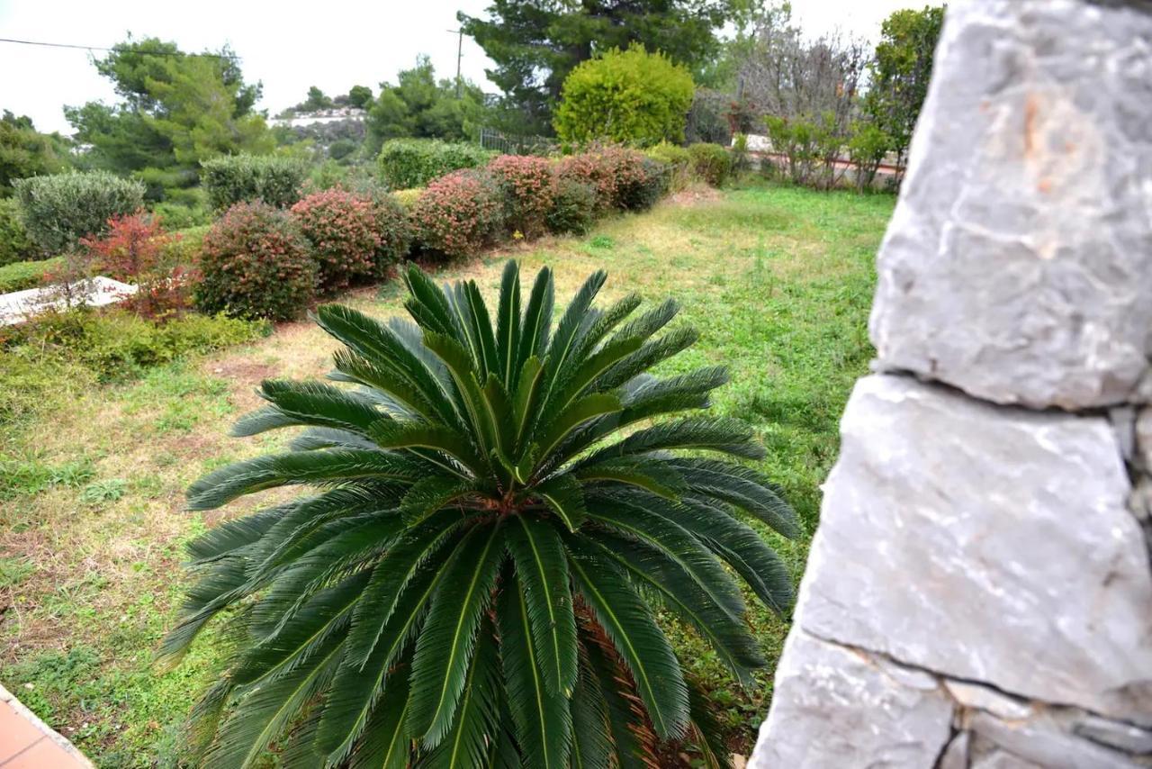 Vila Amalia Theologos  Ngoại thất bức ảnh